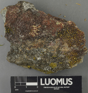  ( - H9243199)  @11 [ ] by-nc (2024) Erkka Laine Luomus