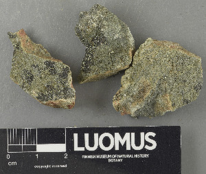  ( - H9243292)  @11 [ ] by-nc (2024) Erkka Laine Luomus