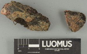  ( - H9247606)  @11 [ ] by-nc (2025) Erkka Laine Luomus