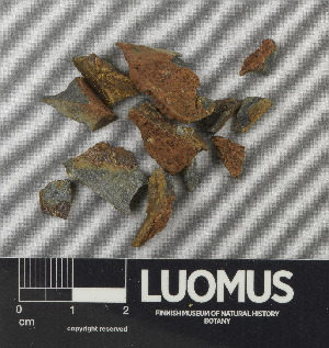  ( - H9243015)  @11 [ ] by-nc (2024) Erkka Laine Luomus