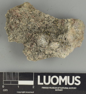  ( - H9247470)  @11 [ ] by-nc (2025) Erkka Laine Luomus