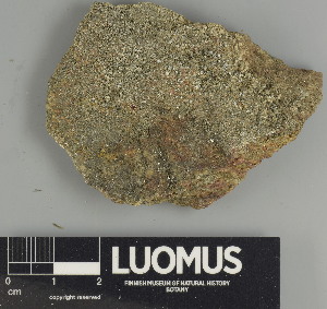  ( - H9247407)  @11 [ ] by-nc (2025) Erkka Laine Luomus