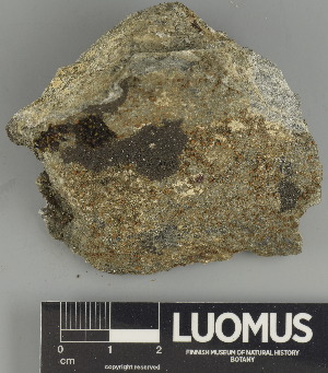  ( - H9247477)  @11 [ ] by-nc (2025) Erkka Laine Luomus