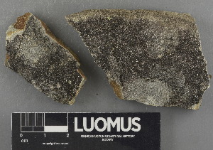  ( - H9243033)  @11 [ ] by-nc (2024) Erkka Laine Luomus