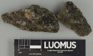  ( - H9247410)  @11 [ ] by-nc (2025) Erkka Laine Luomus
