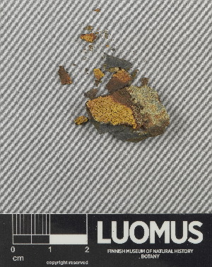  ( - H9243035)  @11 [ ] by-nc (2024) Erkka Laine Luomus