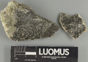  ( - H9238145.1)  @11 [ ] by-nc (2025) Erkka Laine Luomus