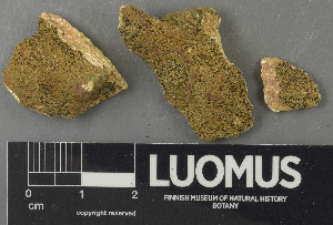  ( - H9243231)  @11 [ ] by-nc (2024) Erkka Laine Luomus