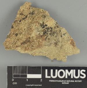  ( - H9247423)  @11 [ ] by-nc (2025) Erkka Laine Luomus