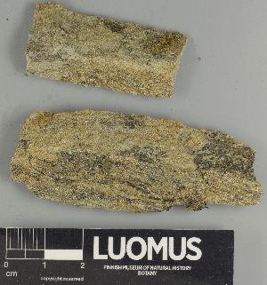  ( - H9233145)  @11 [ ] by-nc (2025) Erkka Laine Luomus