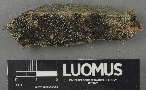  ( - H9243155)  @11 [ ] by-nc (2024) Erkka Laine Luomus