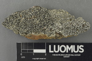  (Porpidia lowiana - H9243070)  @11 [ ] by-nc (2024) Erkka Laine Luomus