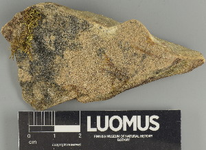  ( - H9238148.1)  @11 [ ] by-nc (2025) Erkka Laine Luomus