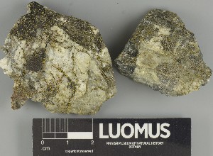  ( - H9247361)  @11 [ ] by-nc (2025) Erkka Laine Luomus