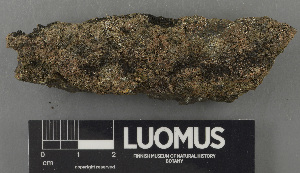  ( - H9243174)  @11 [ ] by-nc (2024) Erkka Laine Luomus