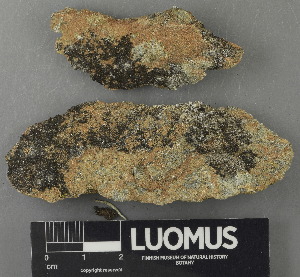  ( - H9243084)  @11 [ ] by-nc (2024) Erkka Laine Luomus