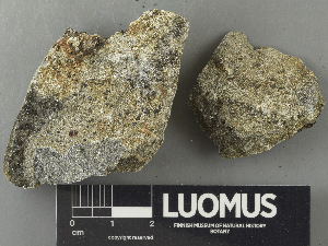  ( - H9243454)  @11 [ ] by-nc (2024) Erkka Laine Luomus