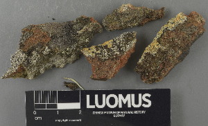  ( - H9243083)  @11 [ ] by-nc (2024) Erkka Laine Luomus
