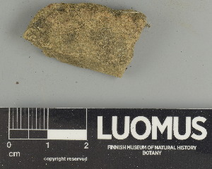  ( - H9247511)  @11 [ ] by-nc (2025) Erkka Laine Luomus