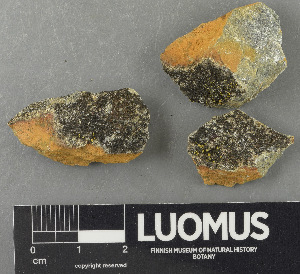  ( - H9243363)  @11 [ ] by-nc (2024) Erkka Laine Luomus