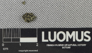  ( - H9243182)  @11 [ ] by-nc (2024) Erkka Laine Luomus