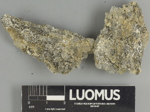  ( - H9247512)  @11 [ ] by-nc (2025) Erkka Laine Luomus