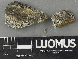  ( - H9243463)  @11 [ ] by-nc (2024) Erkka Laine Luomus