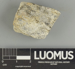  ( - H9247518)  @11 [ ] by-nc (2025) Erkka Laine Luomus