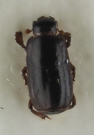  ( - GAC.31660)  @11 [ ] by-nc (2025) Erkka Laine Luomus