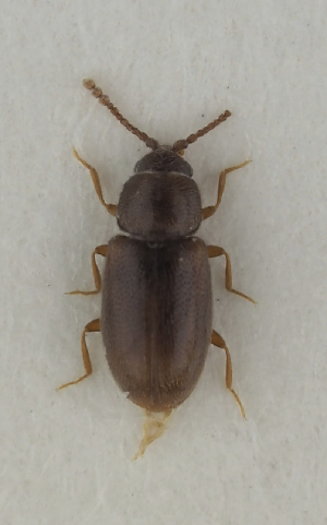  ( - GAC.31822)  @11 [ ] by-nc (2025) Erkka Laine Luomus