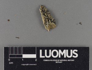  ( - H9220001)  @11 [ ] by-nc (2018) Marko Mutanen University of Oulu