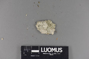  ( - H9220170)  @11 [ ] by-nc (2018) Marko Mutanen University of Oulu