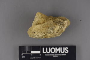  ( - H9220265)  @11 [ ] CreativeCommons - Attribution Non-Commercial (2018) Marko Mutanen University of Oulu