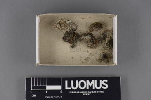  ( - H9220282)  @11 [ ] CreativeCommons - Attribution Non-Commercial (2018) Marko Mutanen University of Oulu