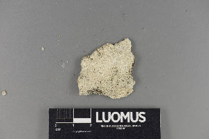  ( - H9221094)  @11 [ ] by-nc (2018) Marko Mutanen University of Oulu