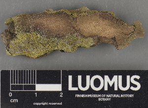  ( - H9222609)  @11 [ ] by-nc (2023) Erkka Laine Luomus