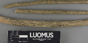  ( - H9234084)  @11 [ ] by-nc (2023) Erkka Laine Luomus