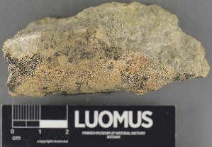  ( - H9235121)  @11 [ ] by-nc (2023) Erkka Laine Luomus