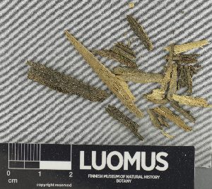  ( - H9235189)  @11 [ ] by-nc (2023) Erkka Laine Luomus