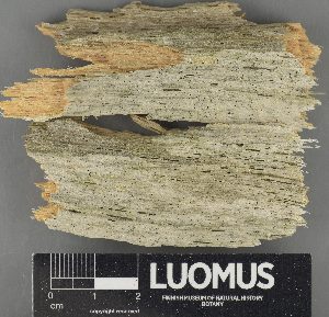 ( - H9235198)  @11 [ ] by-nc (2023) Erkka Laine Luomus