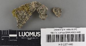  ( - H9237440)  @11 [ ] by-nc (2023) Erkka Laine Luomus
