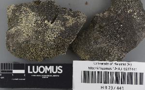 ( - H9237441)  @11 [ ] by-nc (2023) Erkka Laine Luomus