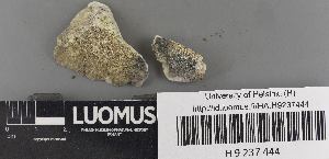  ( - H9237444)  @11 [ ] by-nc (2023) Erkka Laine Luomus