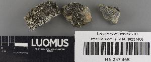  ( - H9237468)  @11 [ ] by-nc (2023) Erkka Laine Luomus