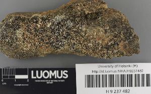  ( - H9237482)  @11 [ ] by-nc (2023) Erkka Laine Luomus