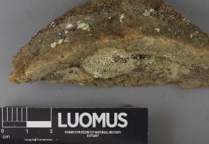  ( - H9237530)  @11 [ ] by-nc (2023) Erkka Laine Luomus
