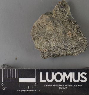  ( - H9237567)  @11 [ ] by-nc (2023) Erkka Laine Luomus