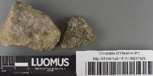  ( - H9237625)  @11 [ ] by-nc (2023) Erkka Laine Luomus