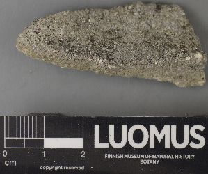 ( - H9237647)  @11 [ ] by-nc (2023) Erkka Laine Luomus
