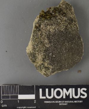  ( - H9237654)  @11 [ ] by-nc (2023) Erkka Laine Luomus
